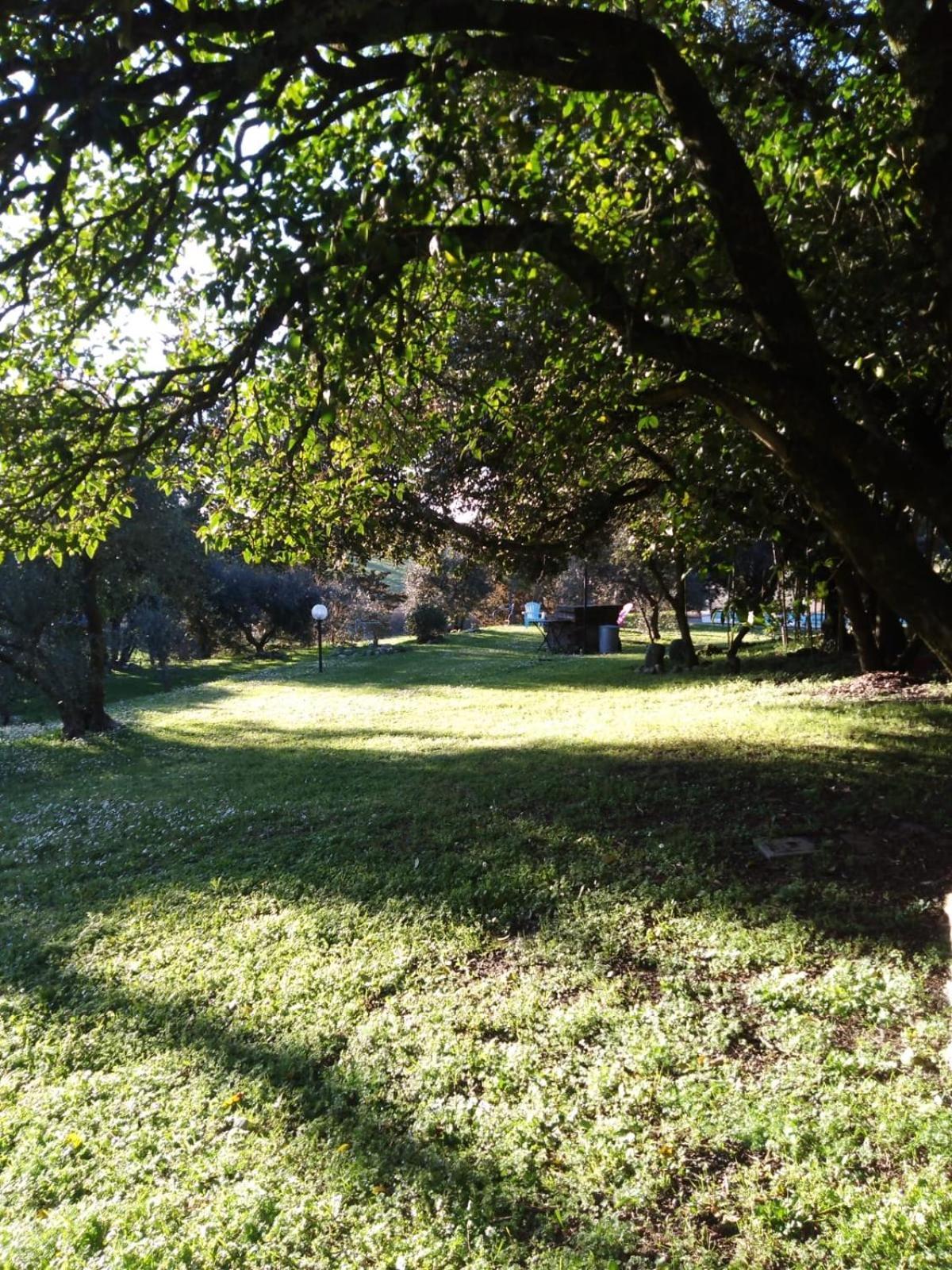 La Torre Di Monsindoli Agroturismo *