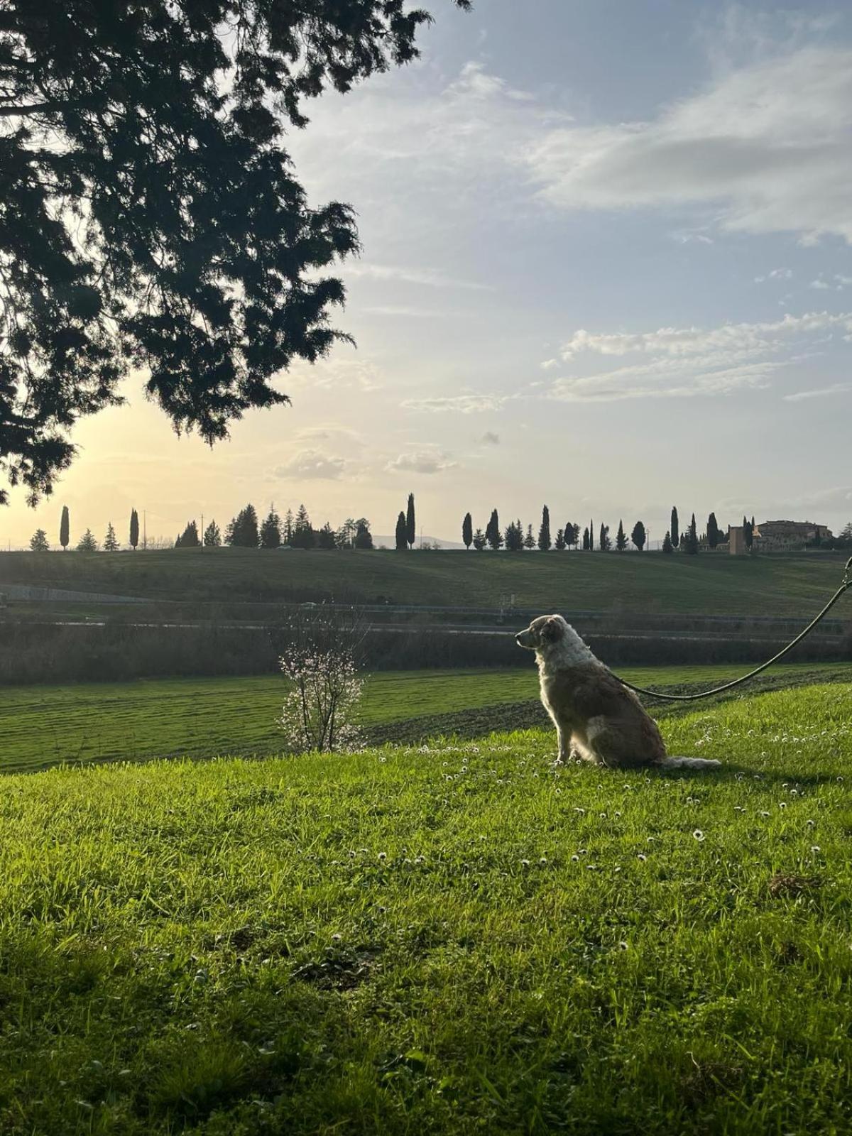 Agroturismo La Torre Di Monsindoli